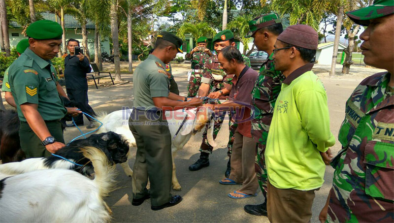 Kodim 0806/Trenggalek Serahkan Hewan Qurban