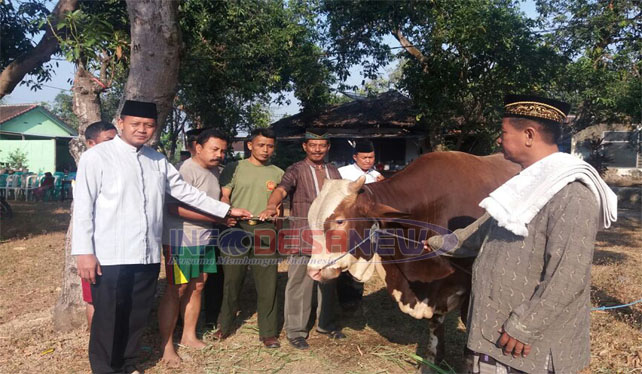 Mencontoh Keiklasan Nabi Ismail Dengan Berkurban