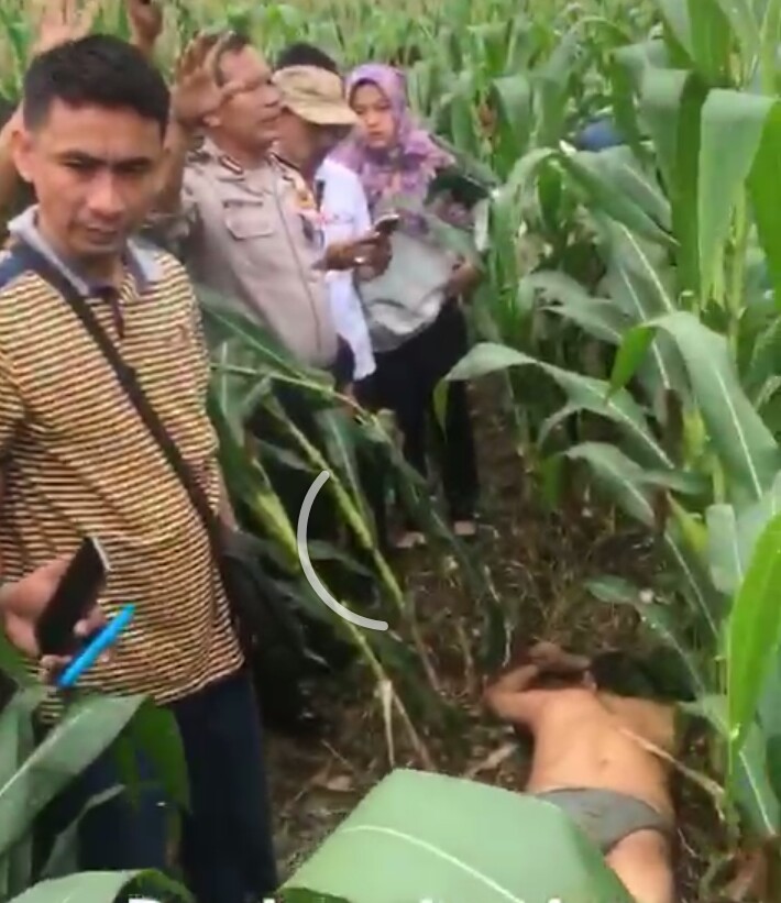 Ditemukan Mayat Laki-laki Di Kebun Jagung Milik Warga Merakbelatung Kalianda