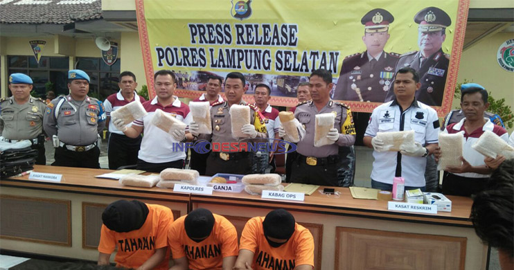 Dua Mahasiswa Membawa Daun Ganja Kering Di Ringkus Polisi