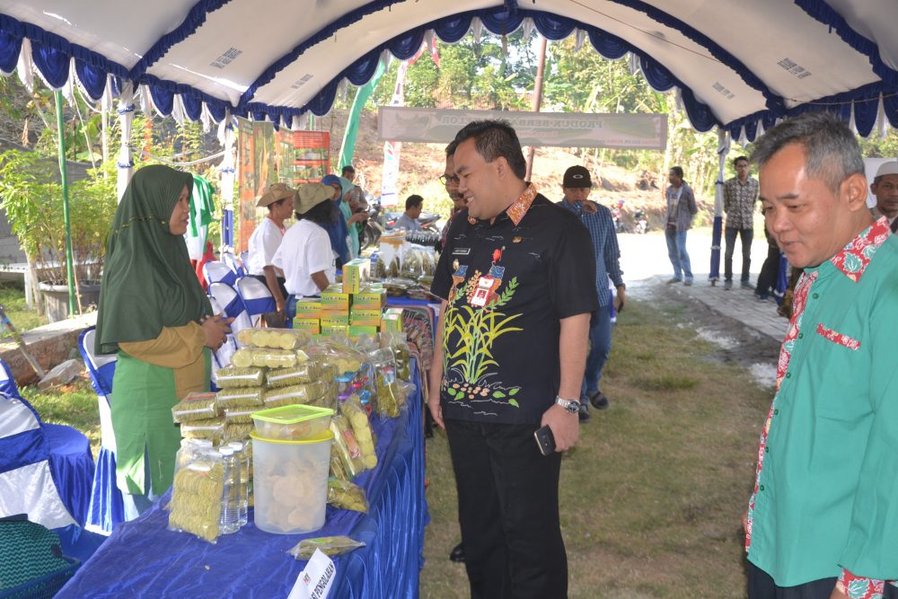 Berbagai Jenis Produk “Kelor” Padati Festival Kelor Blora