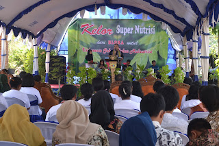 Perdana : Festival Kelor Blora 2018 Menginspirasi Dunia