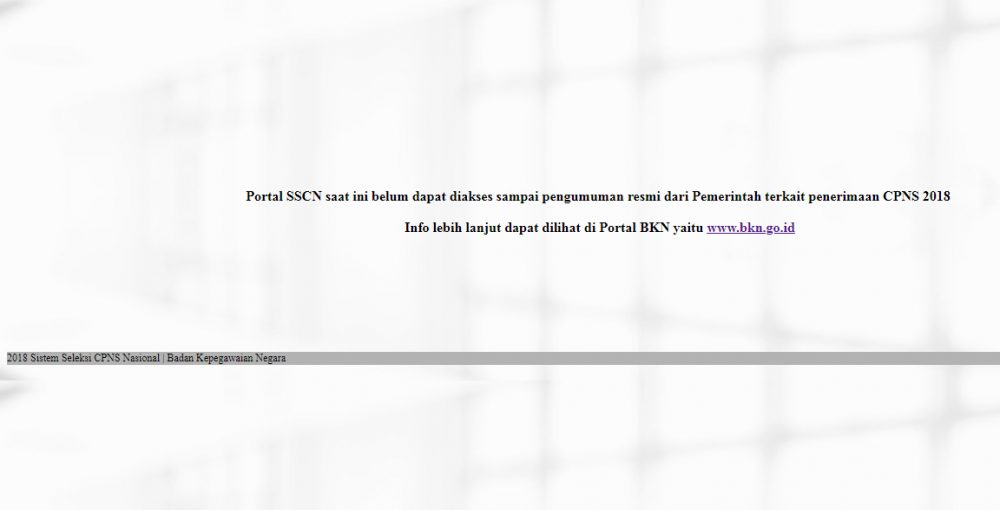 Besok Portal Penerimaan CPNS 2018 Siap Diakses, Pelamar Diminta Cermati Persyaratan