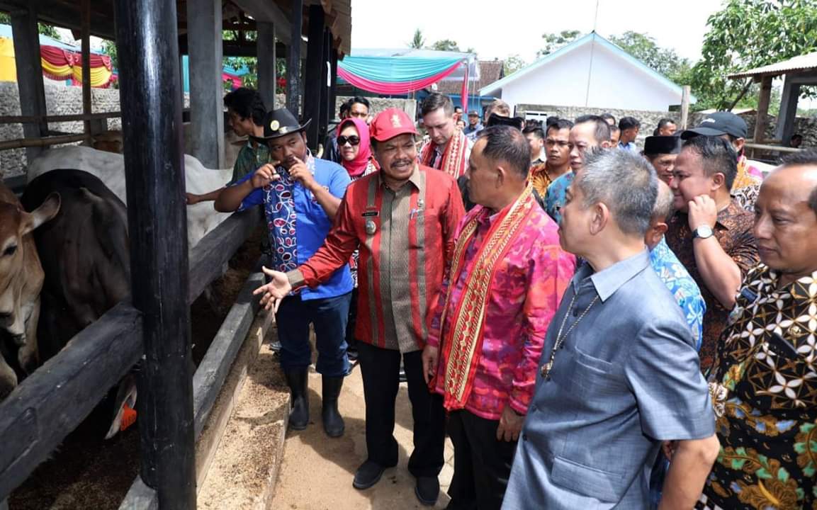 Plt Bupati Lampung Selatan Hadiri Lelang Pedet