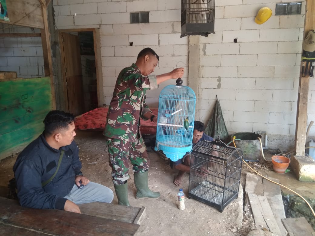 Tentara Ini Bagikan Ilmu Beternak Lovebird Kepada Warga Sasaran TMMD