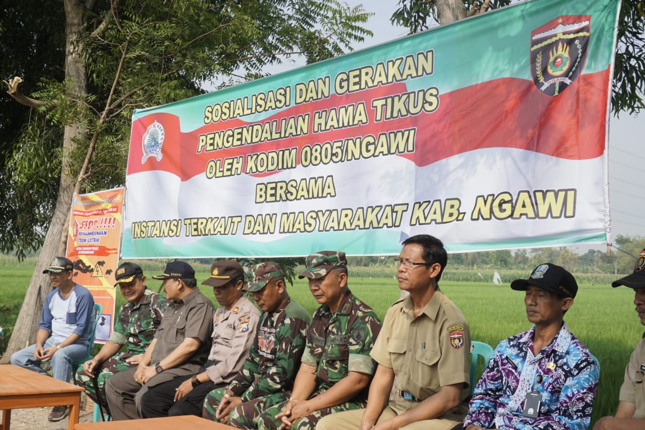 Kodim 0805/Ngawi Adakan Sosialisasi Dan Gerakan  Pengendalian Hama Tikus
