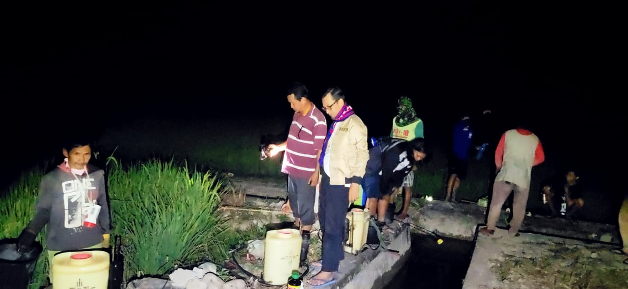 Cegah Hama Ulat Grayak, Kadis DKP Lutra Turun Malam Menyemprot