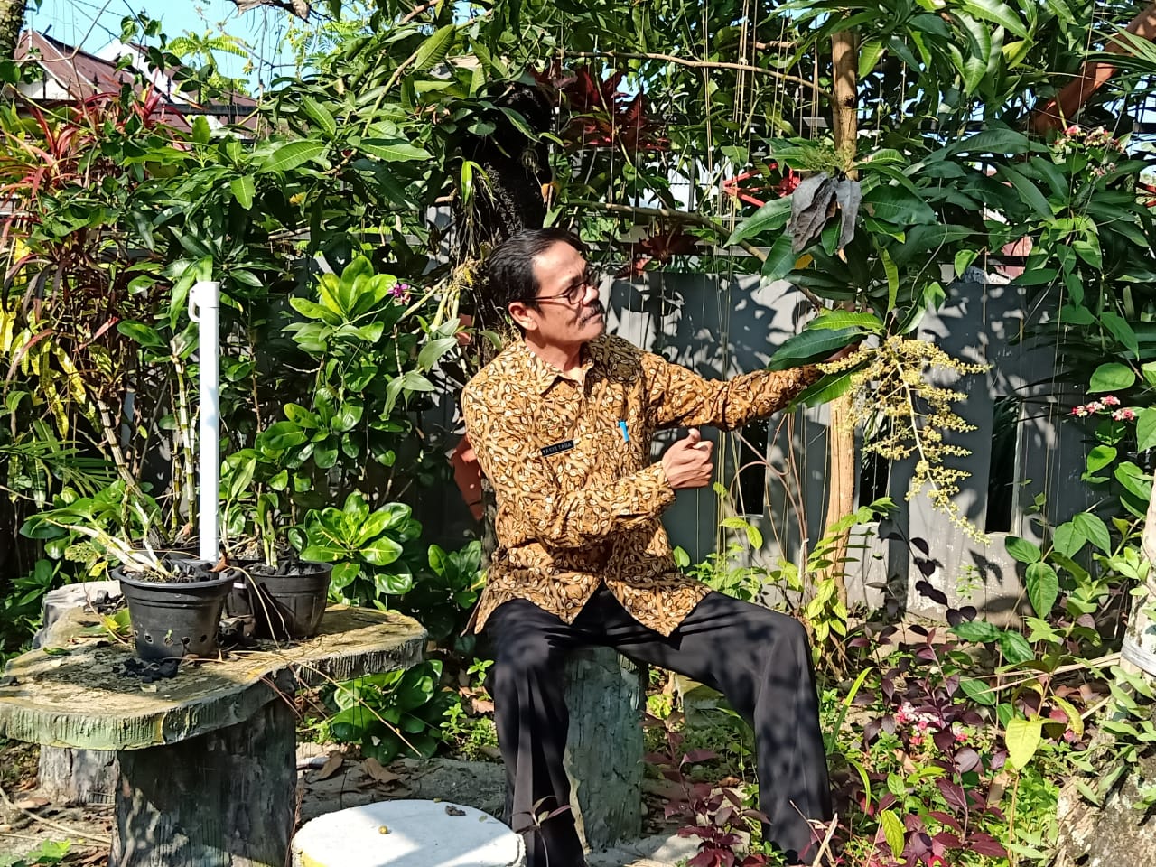 Kadis Parawisata Jadi Petani, Pekarangan Rumah Jadi Lahan Produktif