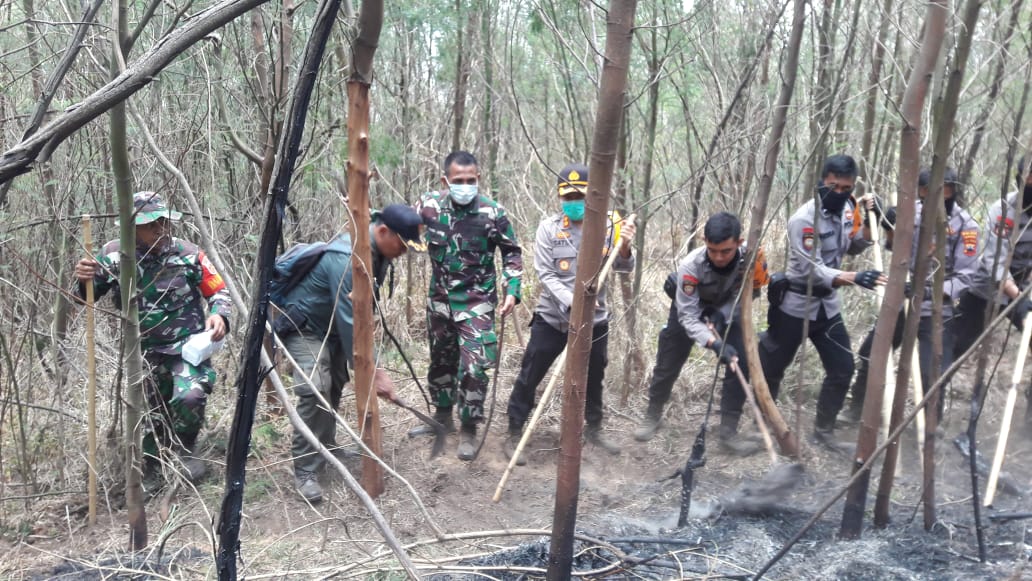 Puluhan TNI, Polri dan Relawan Gotong Royong Padamkan Api di Lereng Lawu