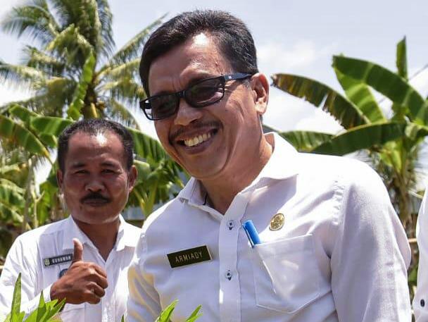 Petani Padi Masih Gunakan Pupuk Urea Berlebihan, Undang Hama Penyakit