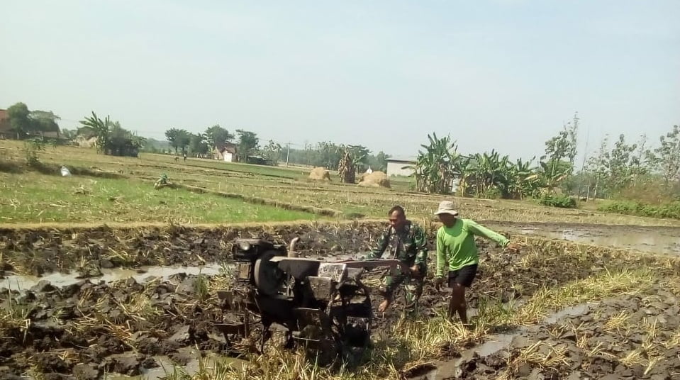 Percepat Musim Tanam Serma Sutaji Bantu Petani Bajak Sawah