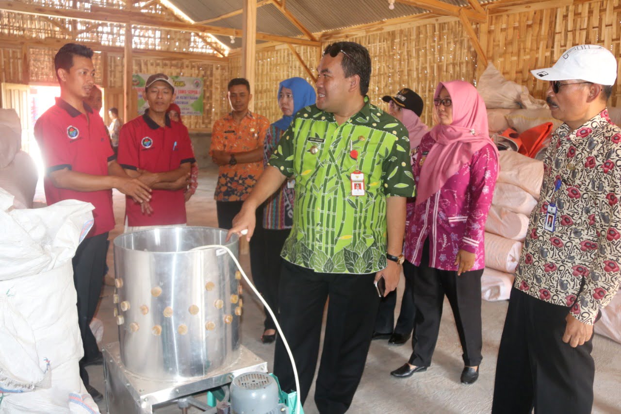 Kemendesa PDTT Luncurkan Program PIID-PEL di Desa Brobowan Blora