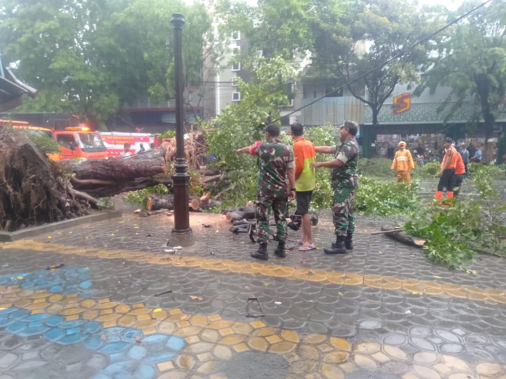 Dengan Sigap Dan Cekatan Kapten Cba Kurdi Pimpin Anggotanya Singkirkan Pohon Tumbang
