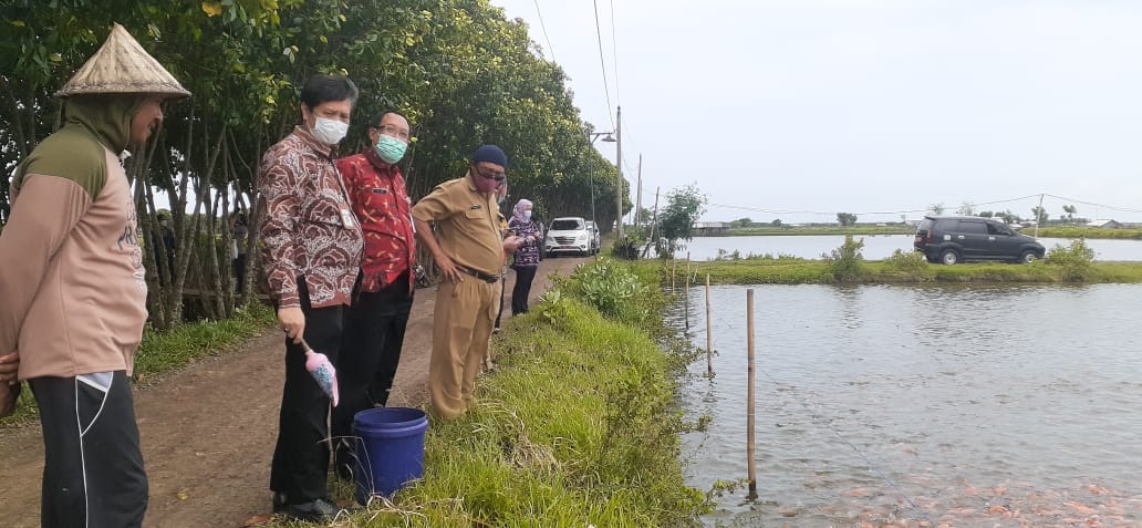 Kampung Nila Salin Masuk Nominasi