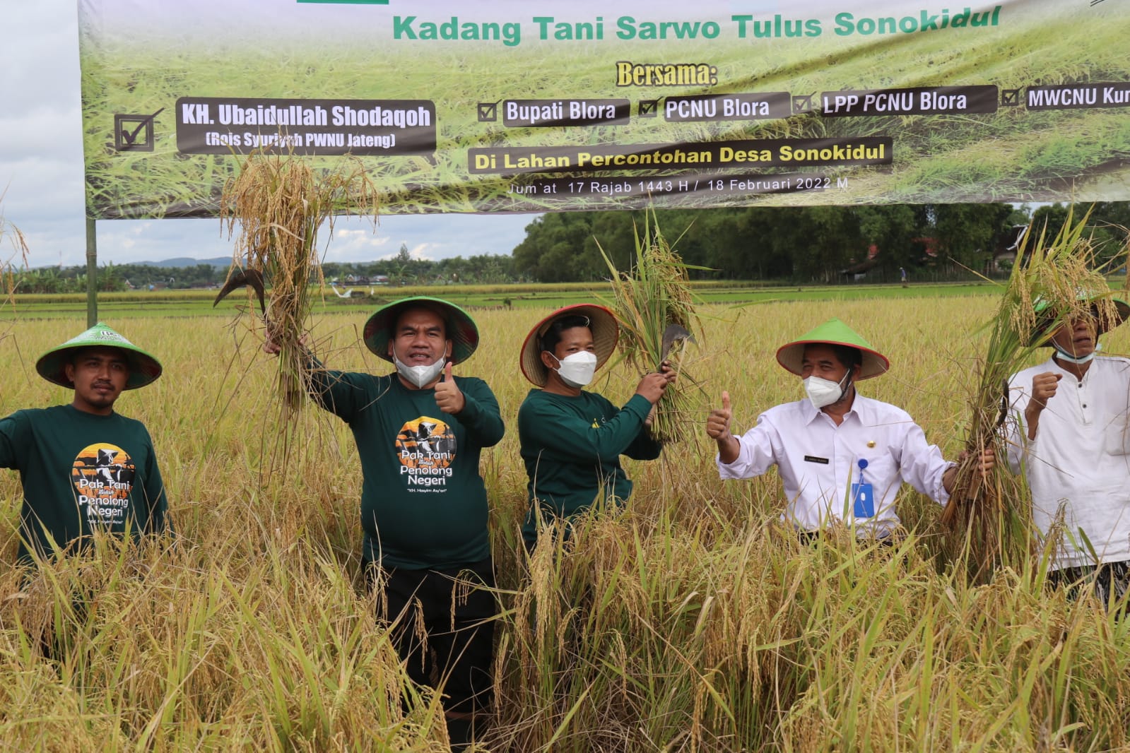 Lebih Untung Dan Sehat, Bupati Dukung LPPNU Kembangkan Padi Organik Di Blora