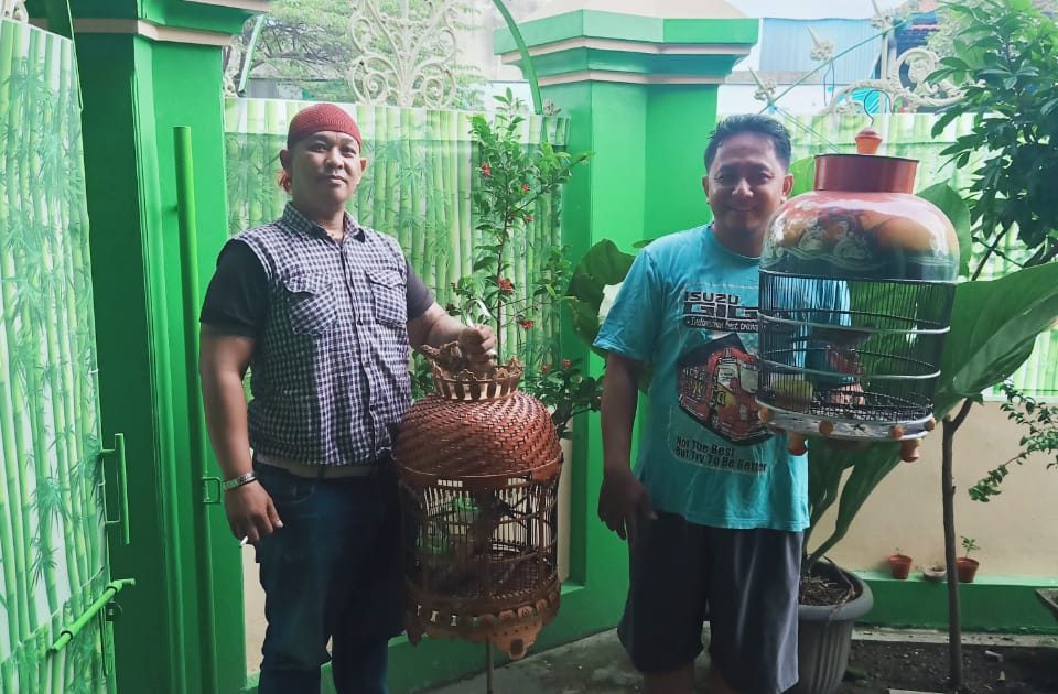 Mulai Diburu, Perkutut Jawa Simbol Pembawa Keberuntungan