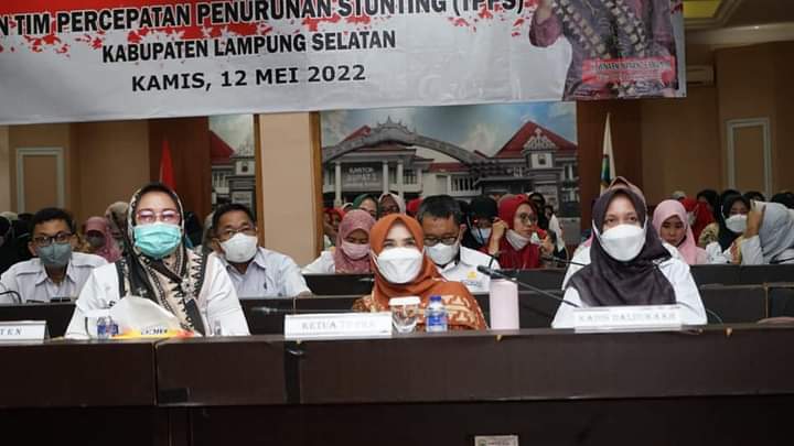 Ketua Tim Percepatan Penurunan Stunting Kabupaten Lampung Selatan Ikut Apel Siaga Secara Virtual,