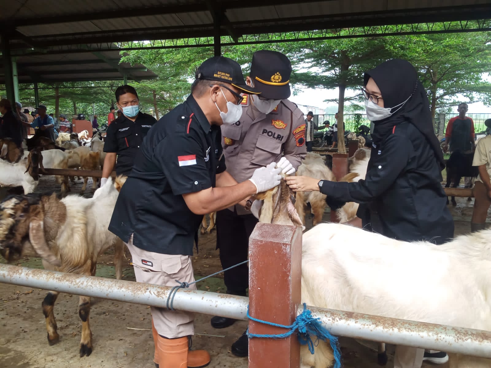 Cegah PMK, Kapolres Kudus Tegaskan ke Jajaran Cek Desa Binaan dan Pasar Hewan