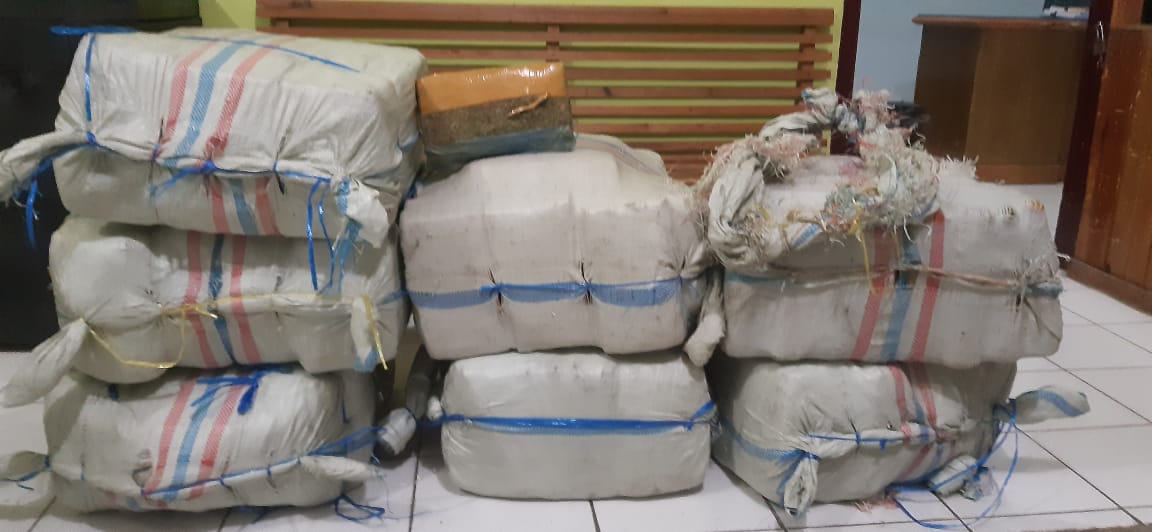 Satresnarkoba Gagalkan Peredaran 175 Kg Ganja