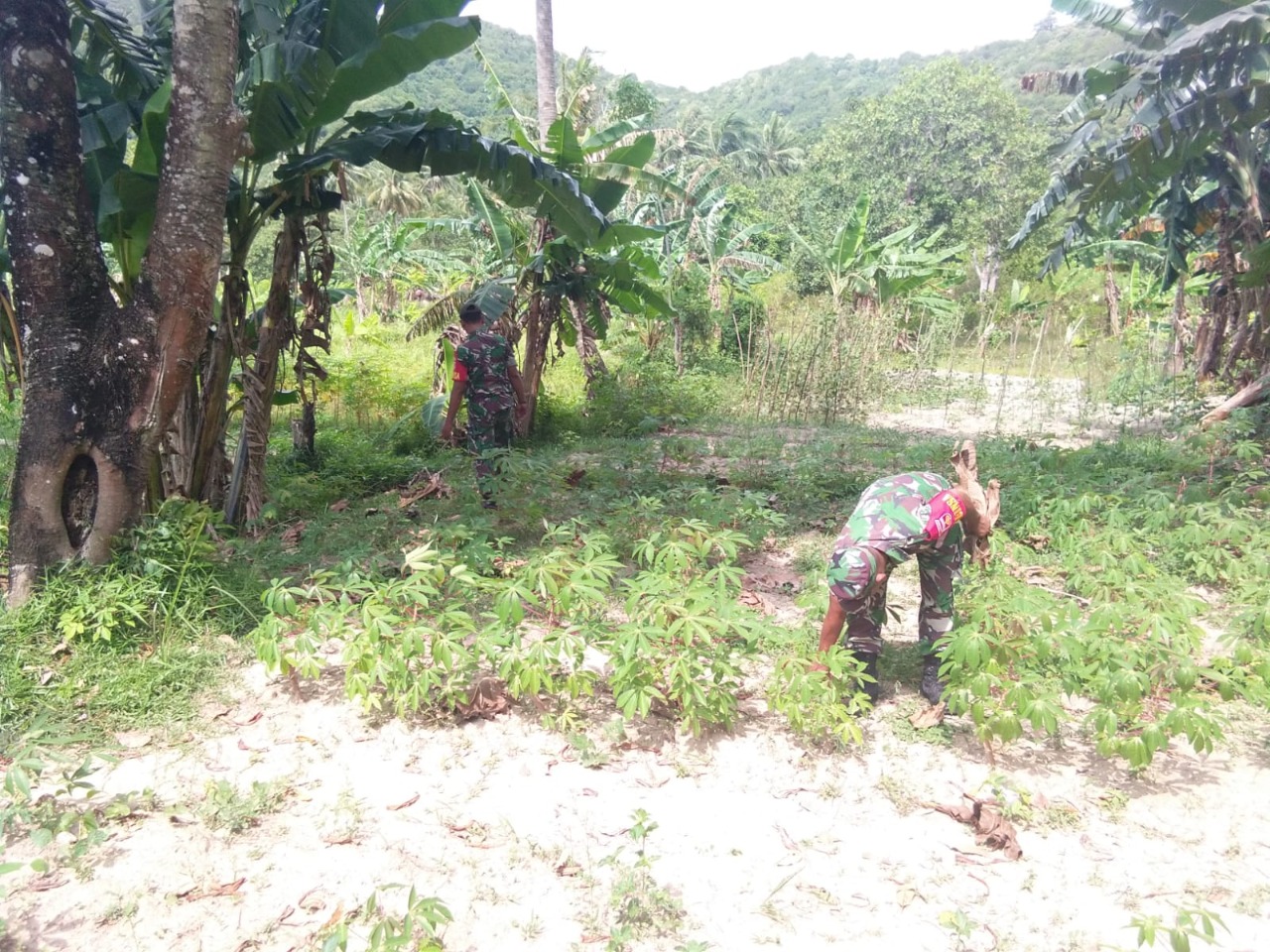 Sukseskan Program Pemerintah di Bidang Ketahanan Pangan