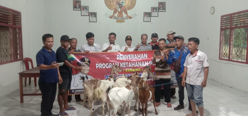 Program Ketahanan Pangan Pemdes Beringin Kencana Salurkan Bantuan 40 Ekor Kambing