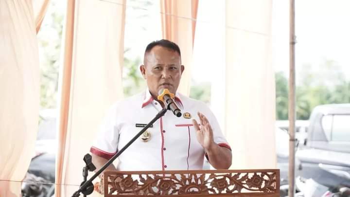 Nanang Ermanto: Mencegah dan Mengendalikan Dampak Inflasi Perlu Sinergi dan Inovasi