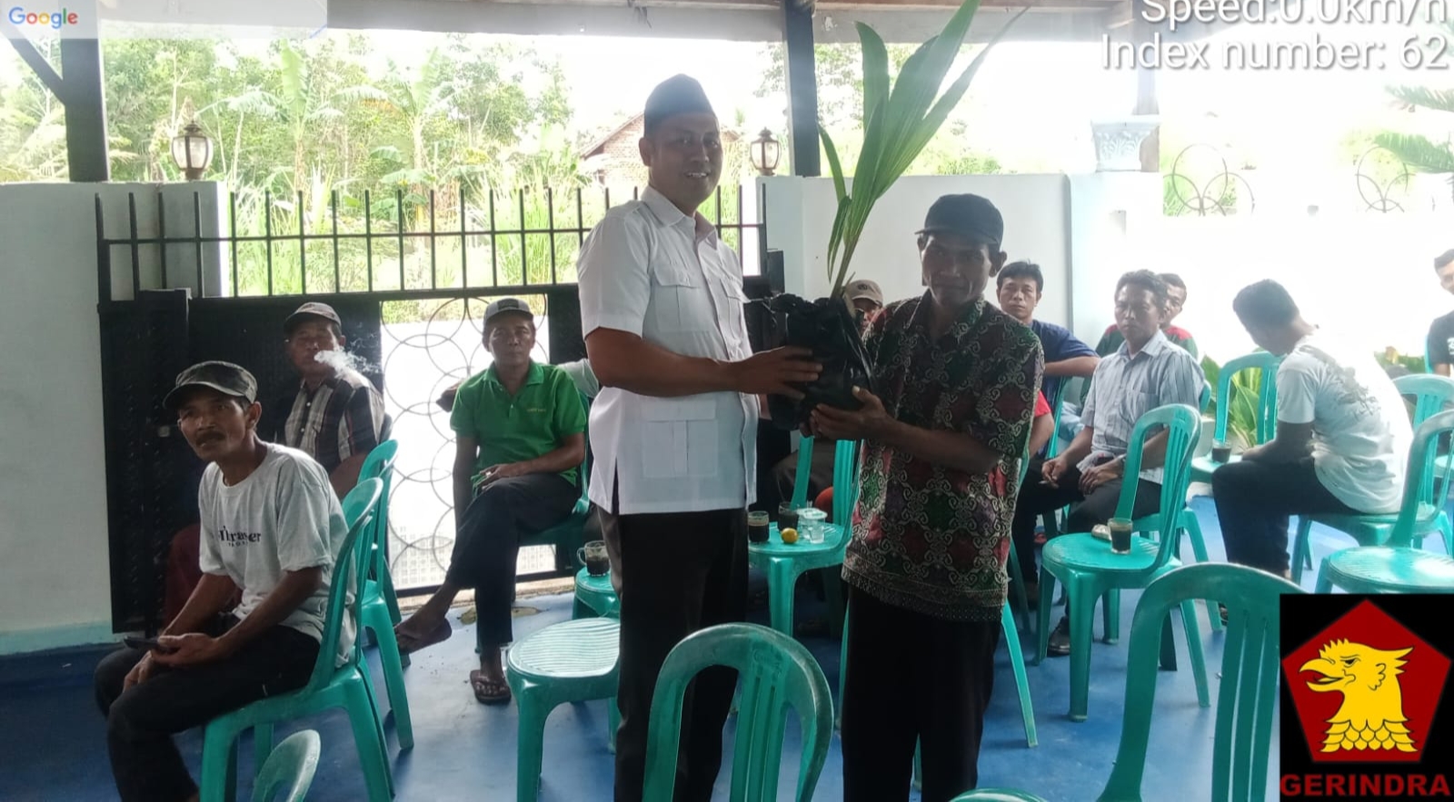 Kader Partai Gerindra,Waris Basuki Serahkan Bantuan Ratusan Bibit Kelapa Kopyor