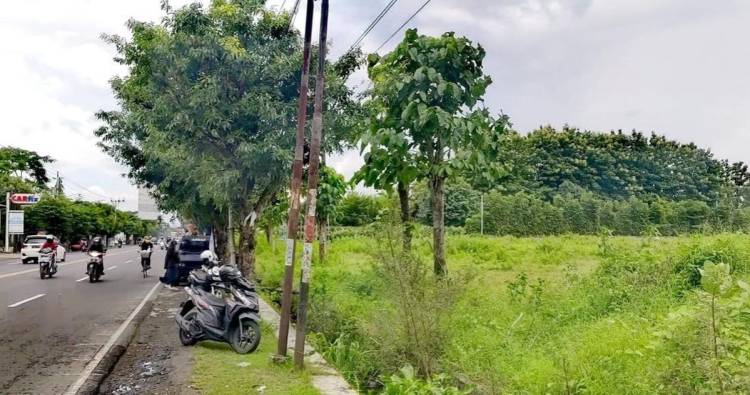 Akan Diperluas, Pemerintah Cari Pemilik Tanah Untuk Rumah Pensiun Jokowi Di Kawasan Colomadu