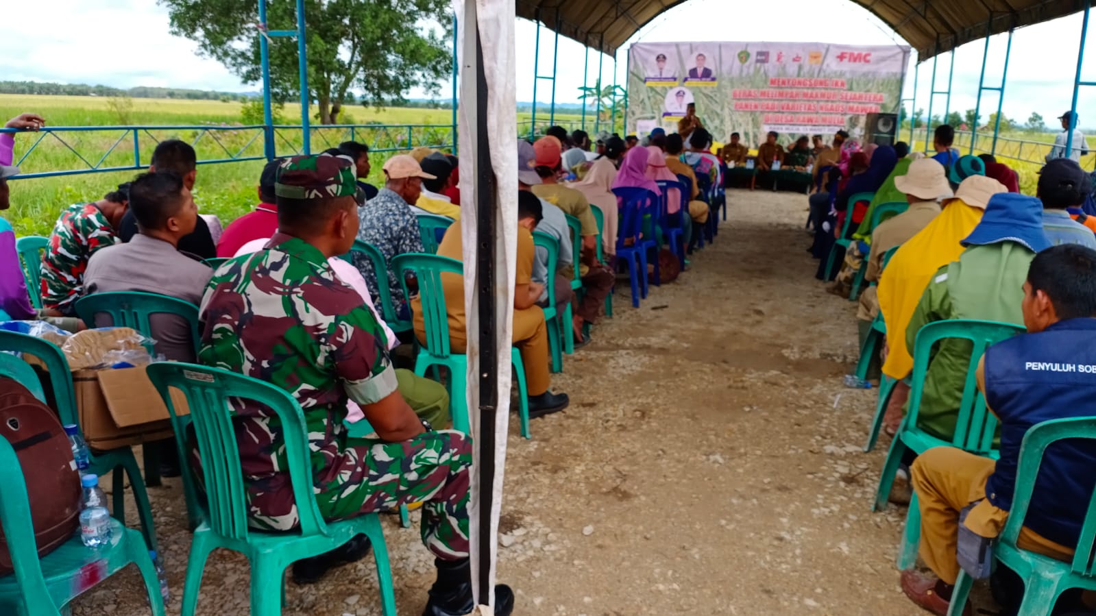 Menyongsong IKN,Babinsa Desa Rawa Mulia Pendampingan Panen Raya Padi Varietas Bersama Bupati PPU Di Babulu