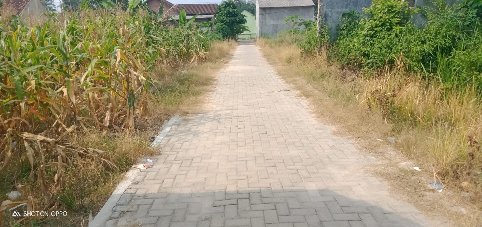 Masyarakat Sumberjaya Apresiasi Pembangunan Program Ketahanan Pangan