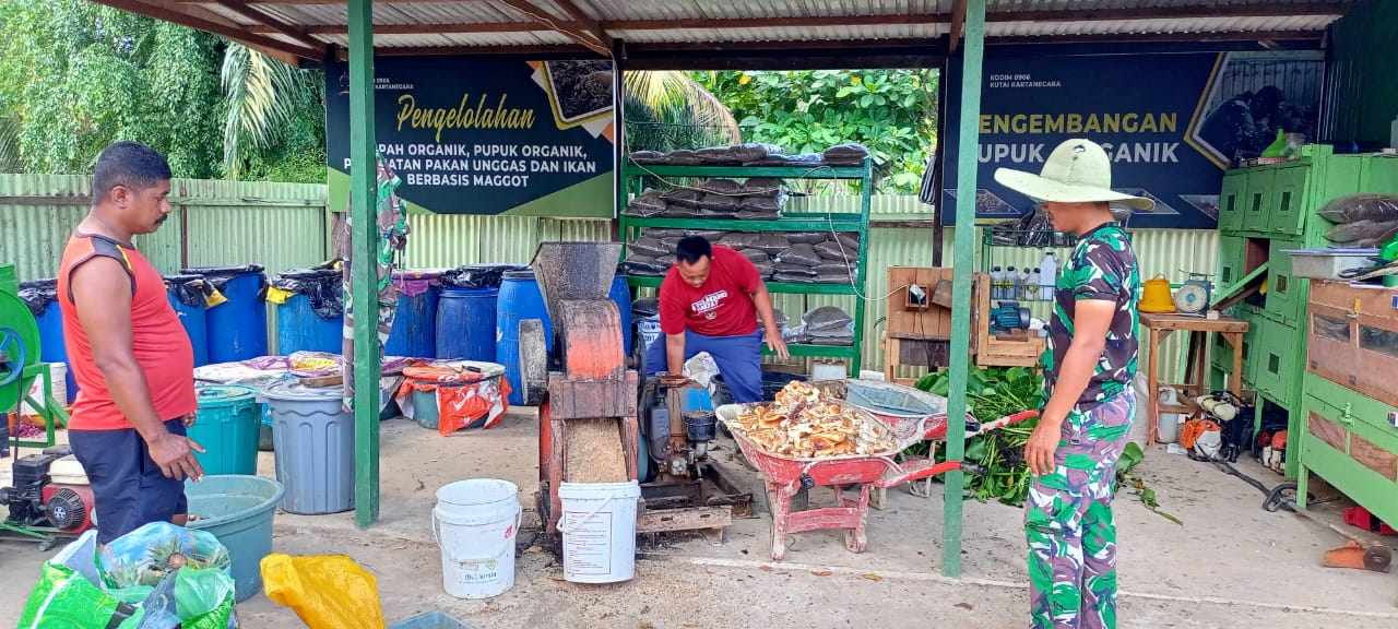 Manfaatkan Limbah Organik Untuk Pakan Dan Pupuk