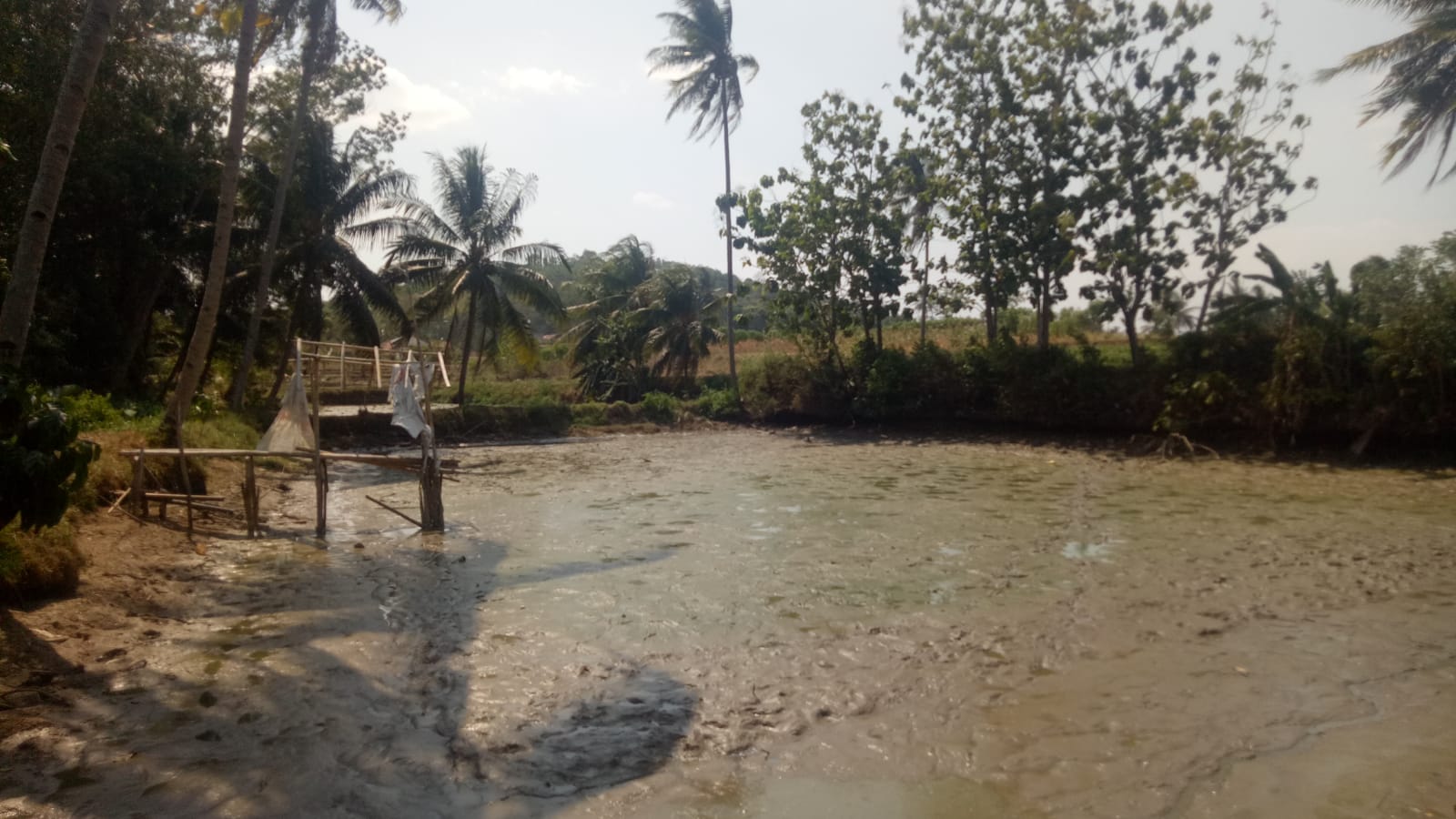 Kemaru Berkepanjangan Kolam Petani Ikan Air Tawar Mulai Kekeringan