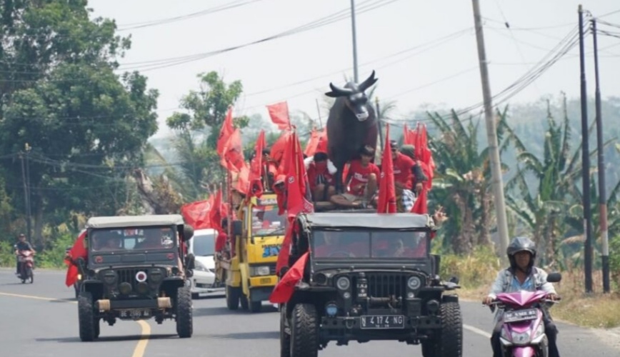 BANTENG LAMPUNG SELATAN MERIAHKAN PAWAI KIRAB PEMILU 2024