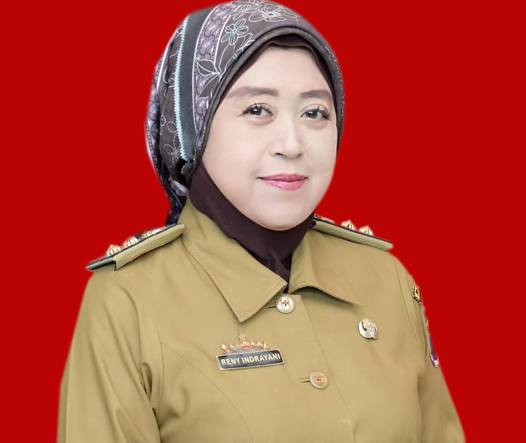 Berikut Penjelasan Dirut RSUD Kalianda Bob Bazar Terkait Pasien Bayi Kembar