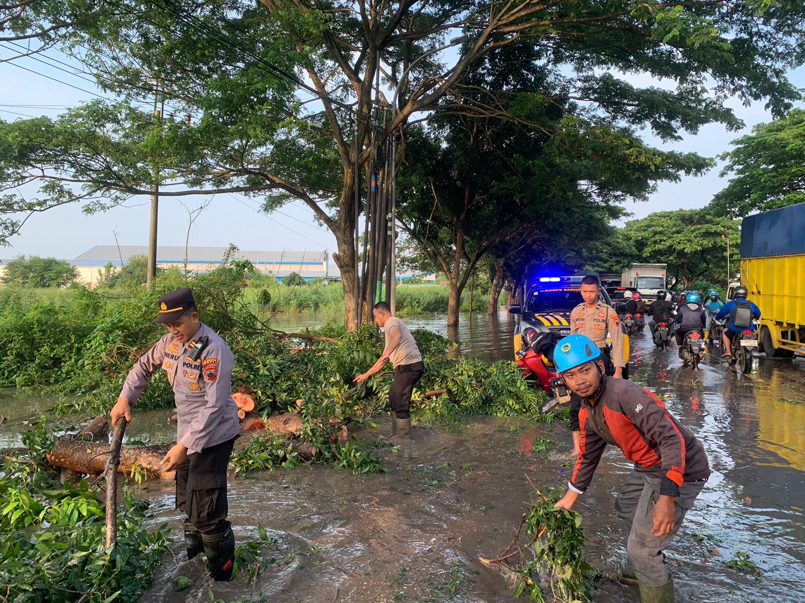 Aksi Cepat, Polisi Bersihkan Pohon Tumbang