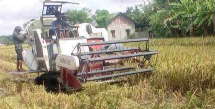 Pera Petani Keluhkan Anjloknya Harga Gabah dan Sulitnya Pupuk Bersubsidi
