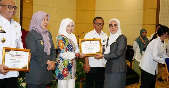 Tahun 2024 Lamsel Sukses Tekan Stunting Diangka 9,9 %