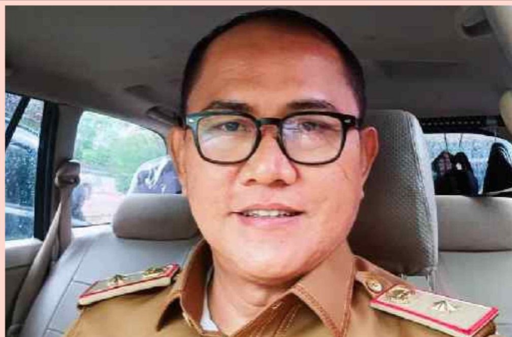 Kadis Kominfo Lamsel, Anasrullah Kritisi Artikel Berita Terkait LHP BPK,
