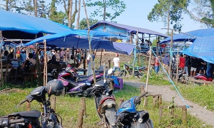 Sabung Ayam Kembali Marak, Warga Bahodopi Desak Aparat Kepolisian Bubarkan Arena Judi
