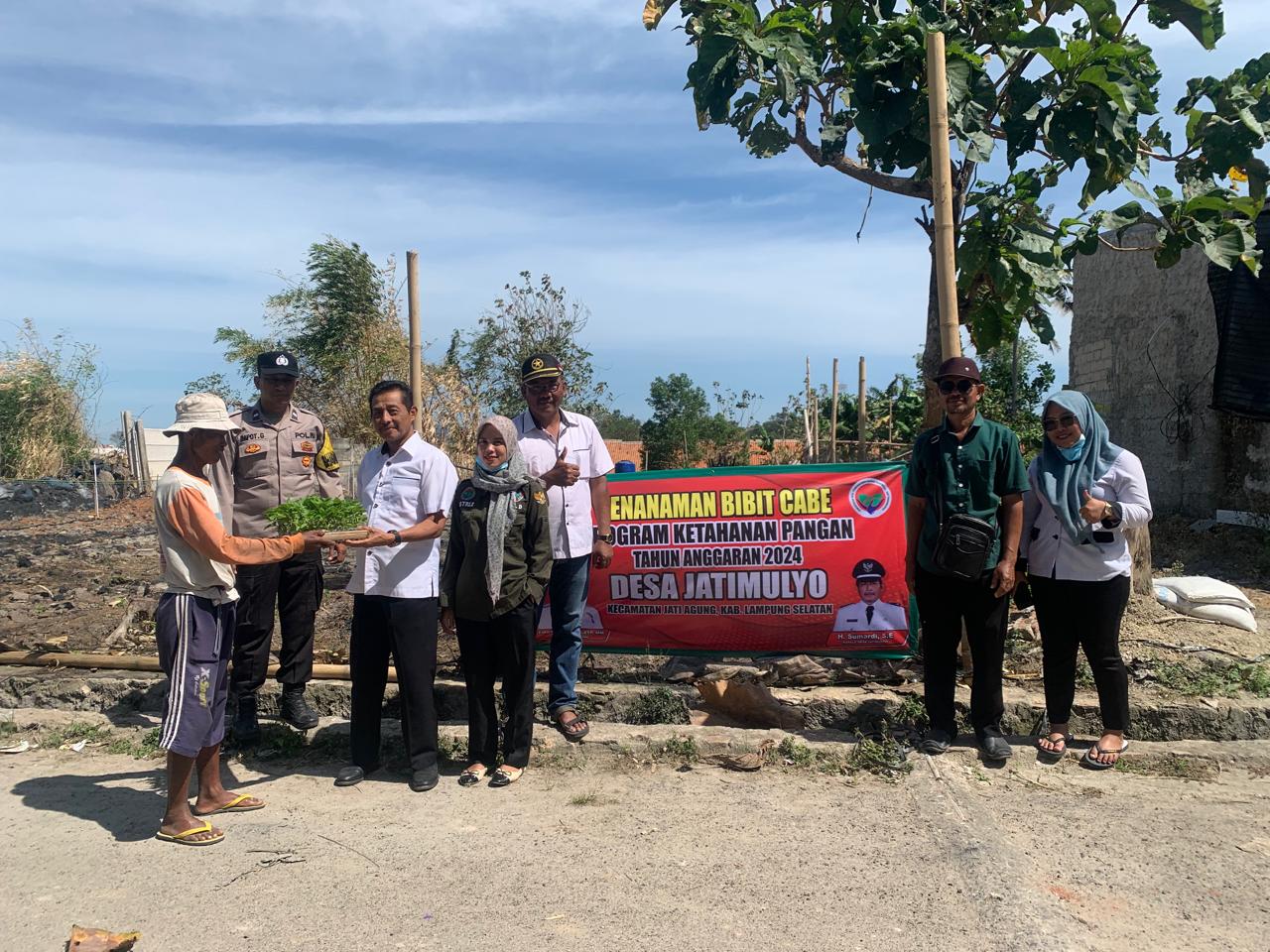 Program Ketahanan Pangan Pemdes Jatimulyo Bagikan Bibit Cabe