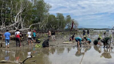 Penanaman Mangrove di Pantai Labombo Palopo untuk Pelestarian Lingkungan