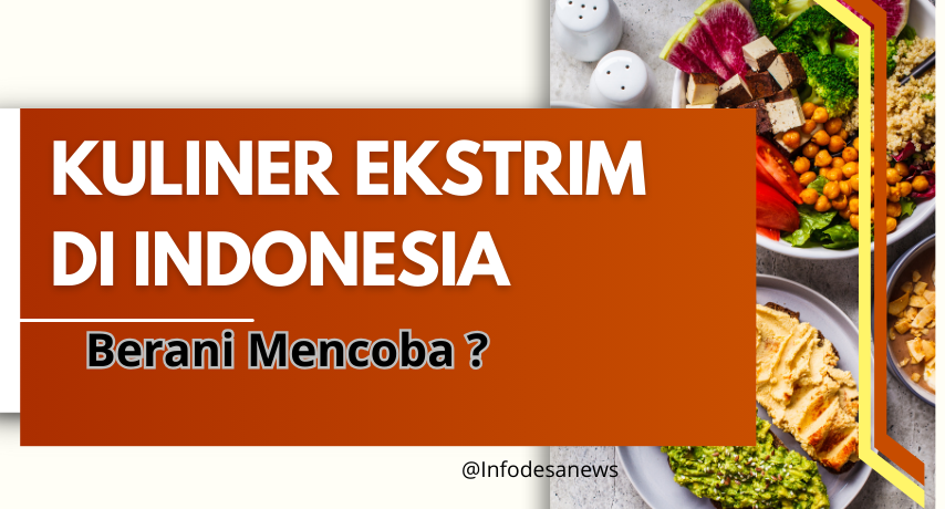 Kuliner Ekstrim di Indonesia: Berani Mencoba?