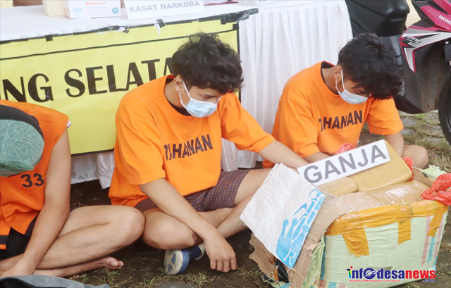 Polres Lamsel Gagalkan Penyelundupan 16 Kg Ganja Dua Tersangka Ditangkap