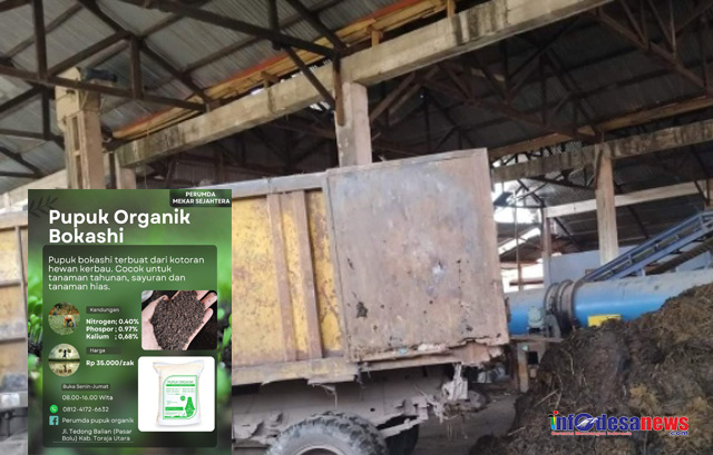 Kelola Pupuk Bokashi dari Limbah Kerbau dan Sekam, Direktur Salvinus Sawelinggi Bilang Harga Terjangkau