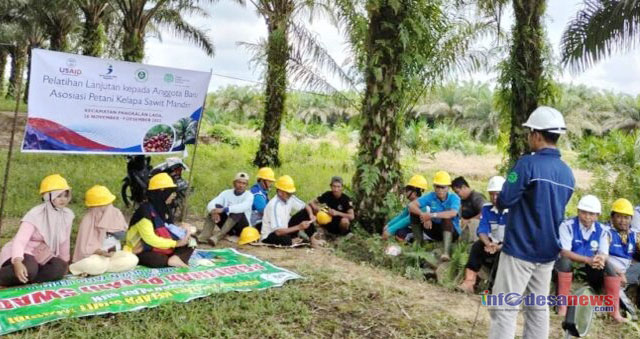 45 Petani Sawit ikuti Program Sekolah Lapangan