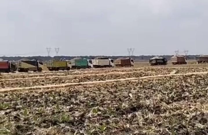 Dugaan Penambangan Ilegal Galian C di Mendenrejo Kembali Menjadi Sorotan