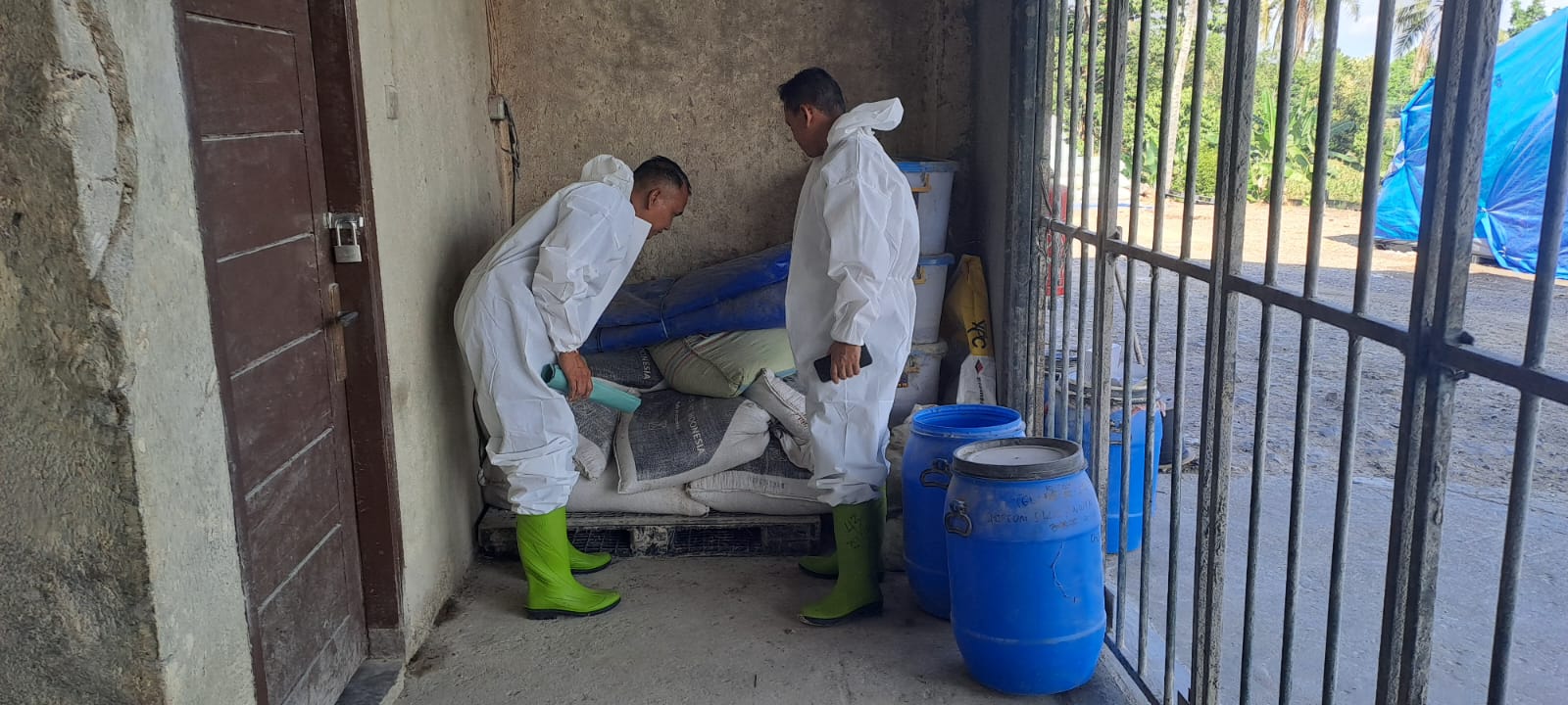 Pencuri Jagung Di Gudang Pakan Sidomulyo Ditangkap Polisi