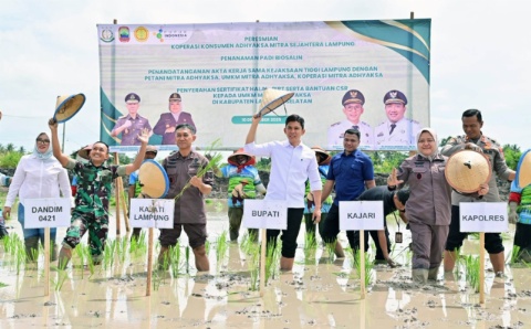 Upayakan Ketahanan Pangan, Bupati Egi Hadiri Penanaman Padi Jenis Biosalin di Kecamatan Sragi