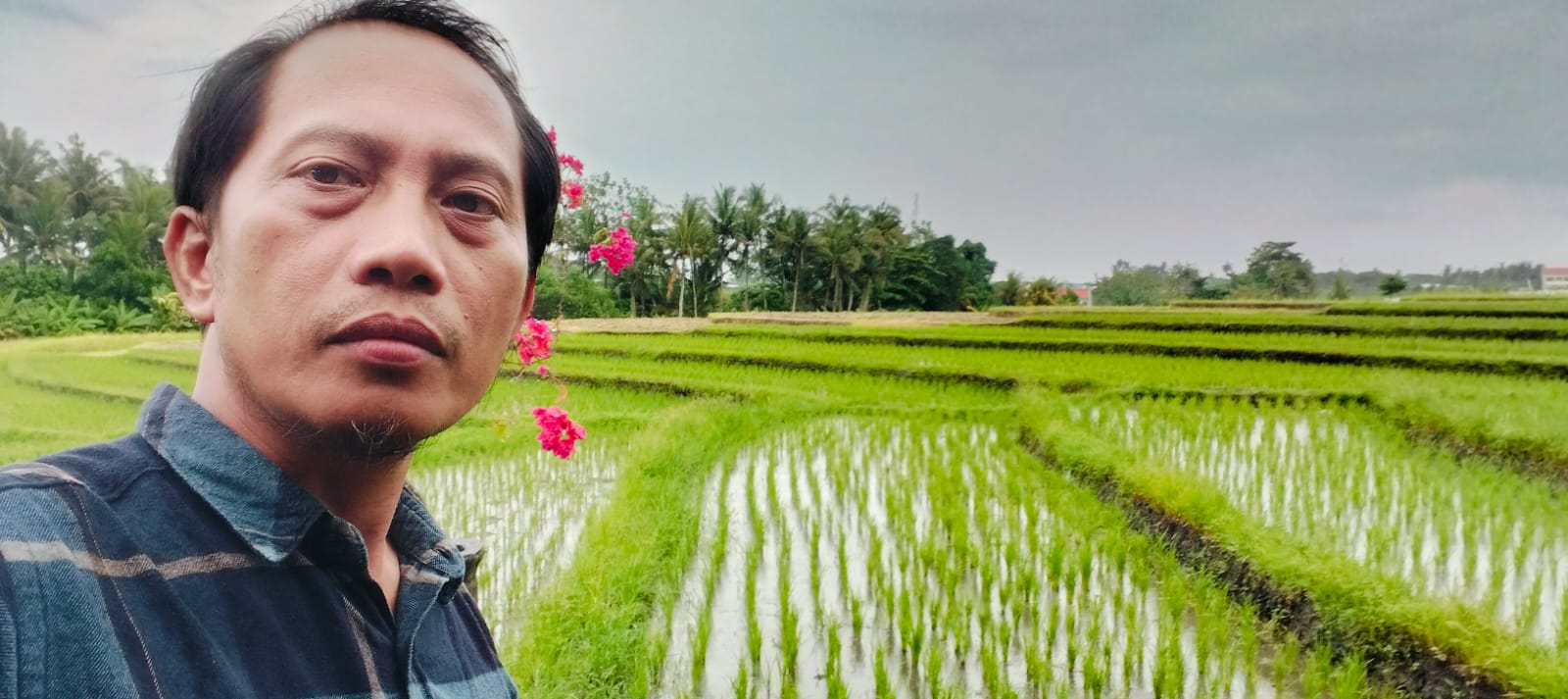 Provinsi Luwu Raya Menguat, Toraja Disebut Jadi Kunci Pemenuhan Syarat DOB
