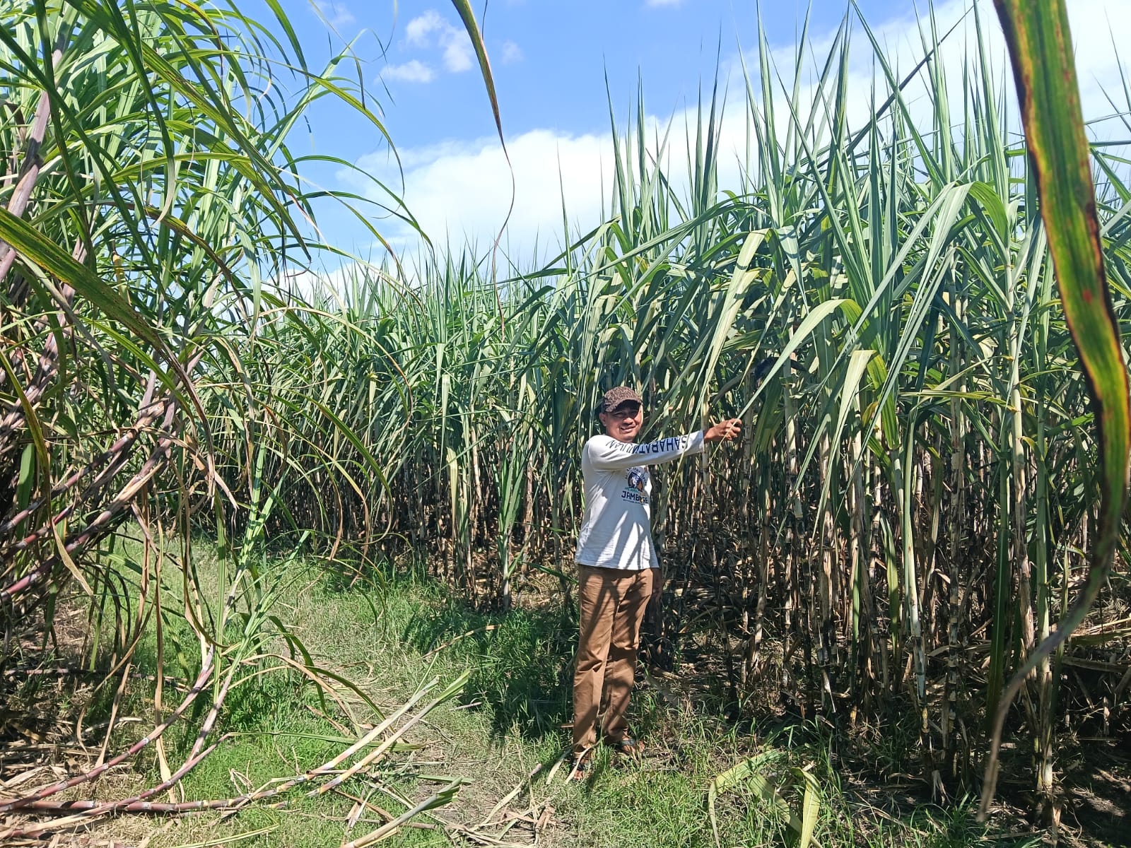 Kericuhan PG GMM Blora Dinilai Sudah Jadi Krisis Kepercayaan, Petani Dorong Pengalihan Kelola ke PTPN